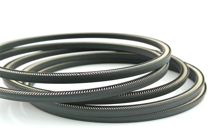 泛塞封密封圈彈簧