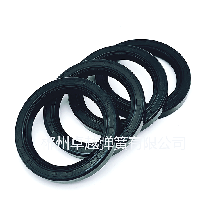 在眾多密封件中，彈簧蓄能密封件以其出色的性能脫穎而出，尤其是在應(yīng)對各種腐蝕性介質(zhì)方面表現(xiàn)卓越。