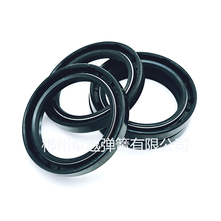 在眾多密封件中，彈簧蓄能密封件以其出色的性能脫穎而出，尤其是在應(yīng)對各種腐蝕性介質(zhì)方面表現(xiàn)卓越。
