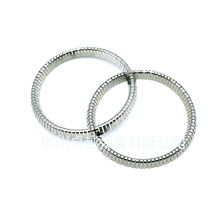 泛塞封V型彈簧 制藥加工設(shè)備中的 V 型泛塞封彈簧具有重要的作用